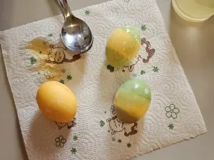 whatsapp image 2026-04-14 at 14.48.33 5